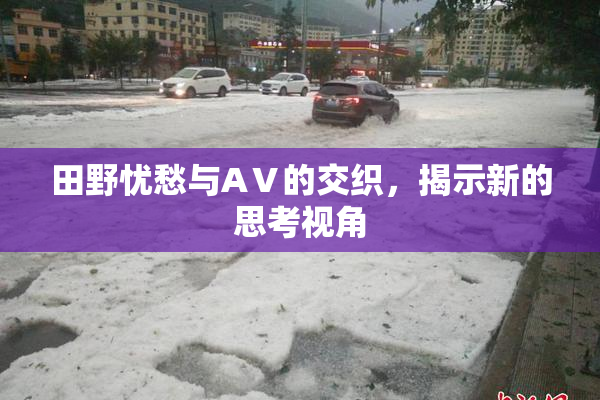 田野忧愁与AⅤ的交织，揭示新的思考视角