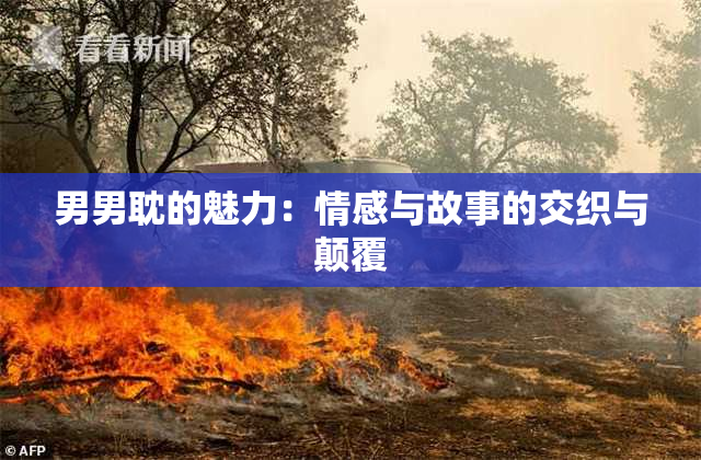 男男耽的魅力：情感与故事的交织与颠覆