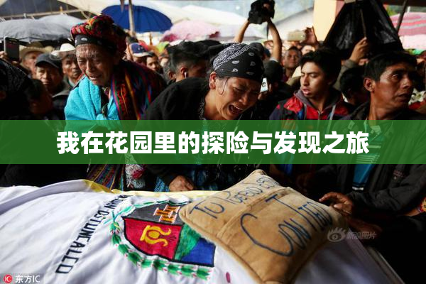 我在花园里的探险与发现之旅