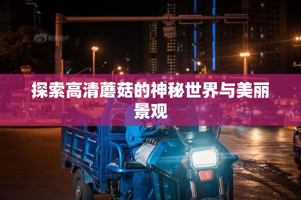 探索高清蘑菇的神秘世界与美丽景观