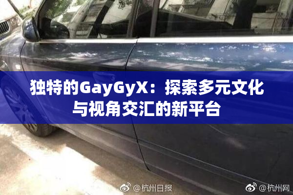 独特的GayGyX：探索多元文化与视角交汇的新平台
