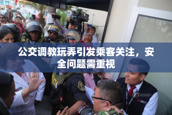 公交调教玩弄引发乘客关注，安全问题需重视