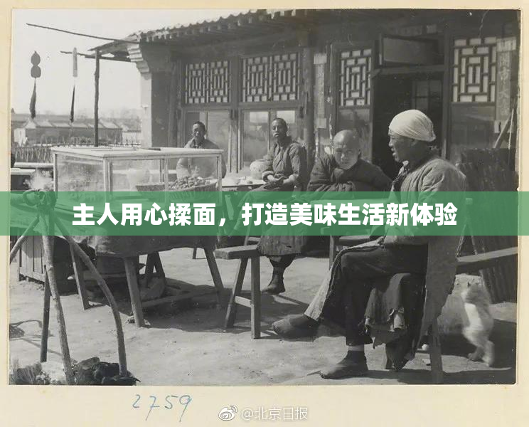 主人用心揉面，打造美味生活新体验