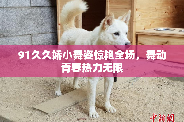 91久久娇小舞姿惊艳全场，舞动青春热力无限