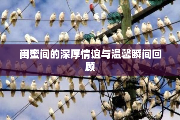 闺蜜间的深厚情谊与温馨瞬间回顾