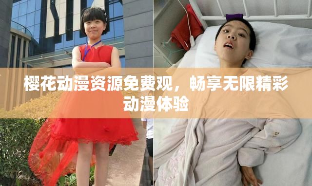 樱花动漫资源免费观，畅享无限精彩动漫体验