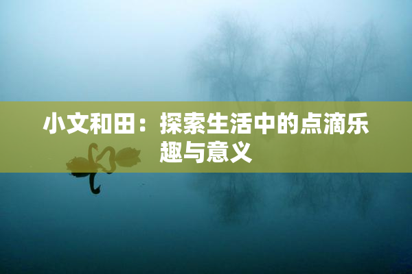 小文和田：探索生活中的点滴乐趣与意义