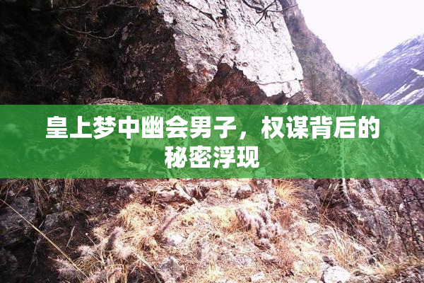 皇上梦中幽会男子，权谋背后的秘密浮现