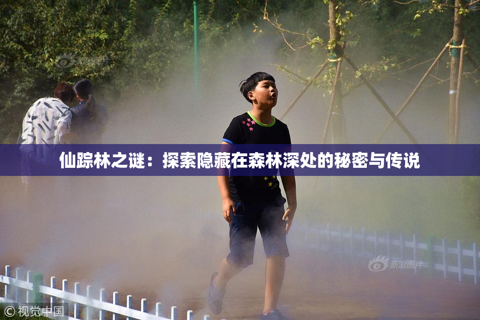 仙踪林之谜：探索隐藏在森林深处的秘密与传说