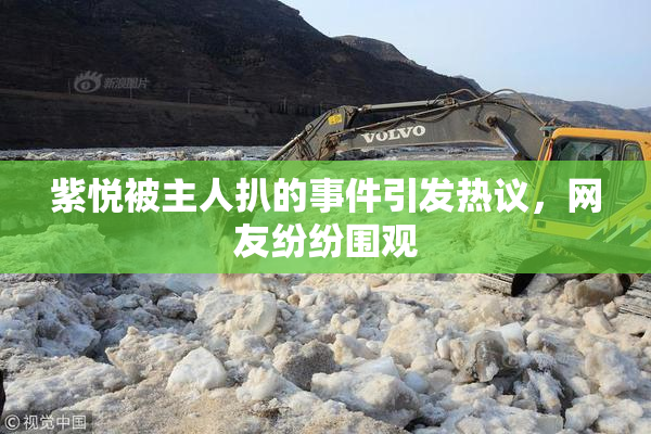 紫悦被主人扒的事件引发热议，网友纷纷围观