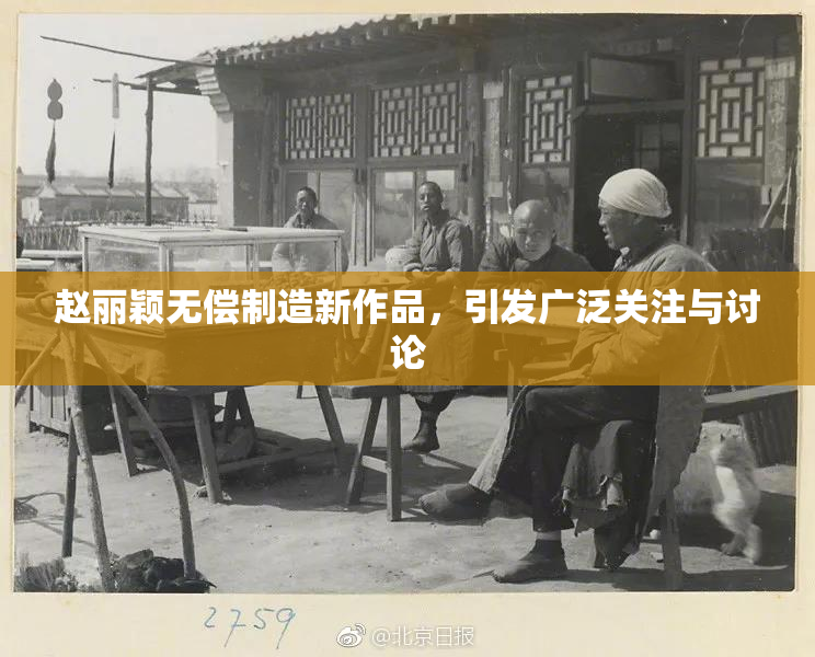 赵丽颖无偿制造新作品，引发广泛关注与讨论