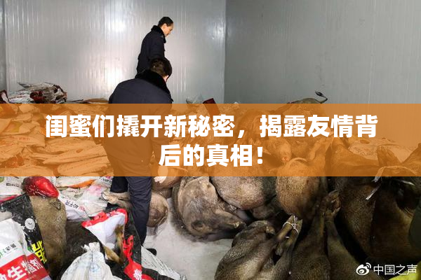 闺蜜们撬开新秘密，揭露友情背后的真相！