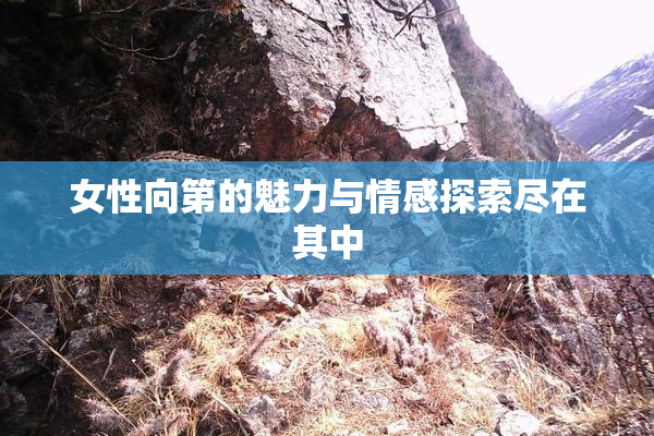 女性向第的魅力与情感探索尽在其中