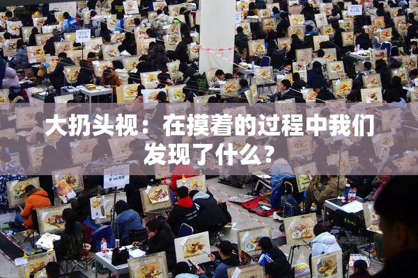 大扔头视：在摸着的过程中我们发现了什么？