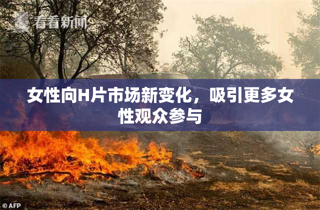 女性向H片市场新变化，吸引更多女性观众参与