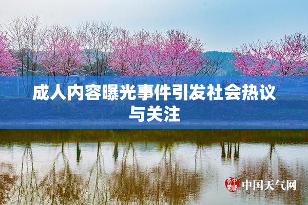 成人内容曝光事件引发社会热议与关注