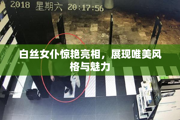 白丝女仆惊艳亮相，展现唯美风格与魅力