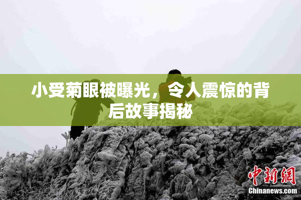 小受菊眼被曝光，令人震惊的背后故事揭秘