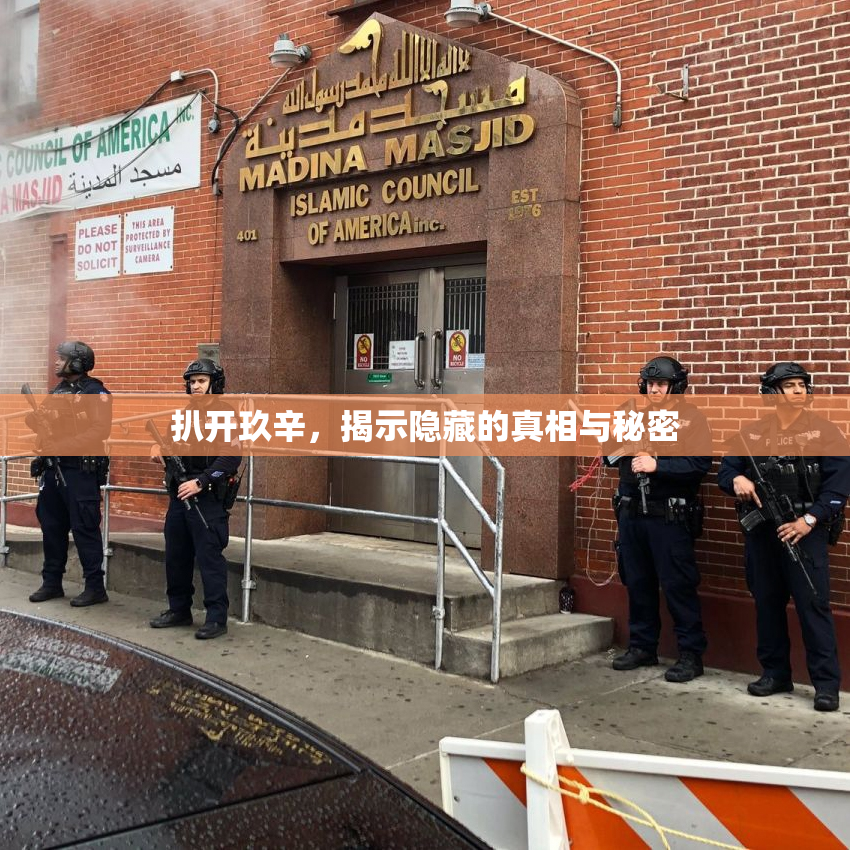 扒开玖辛，揭示隐藏的真相与秘密