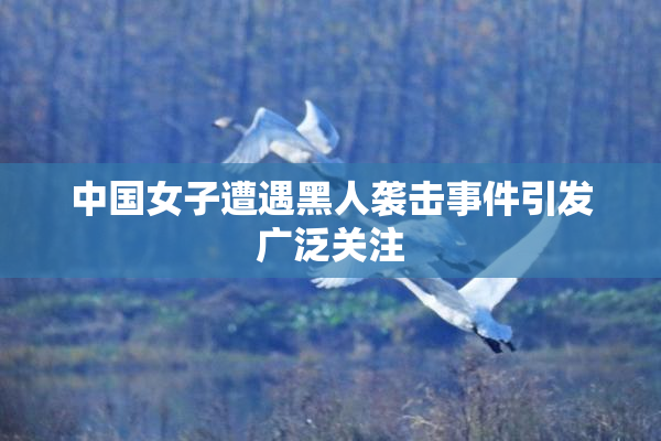 中国女子遭遇黑人袭击事件引发广泛关注