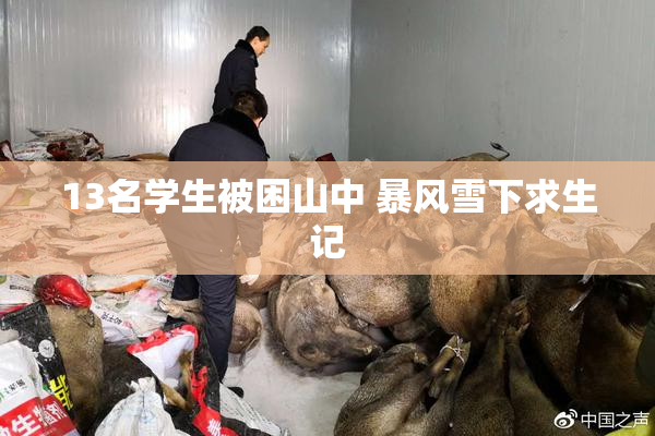 13名学生被困山中 暴风雪下求生记