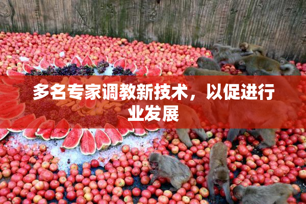 多名专家调教新技术，以促进行业发展