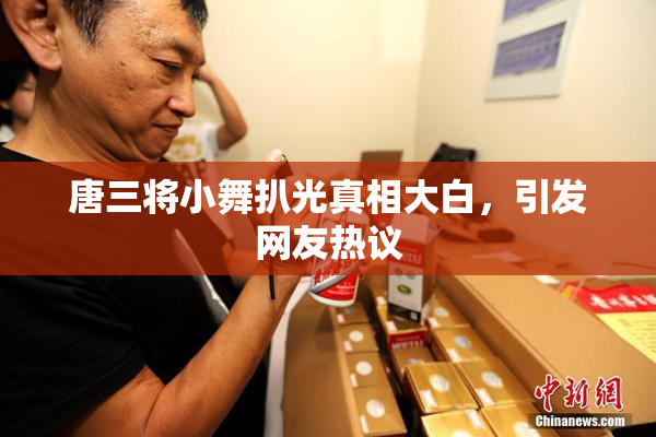 唐三将小舞扒光真相大白，引发网友热议