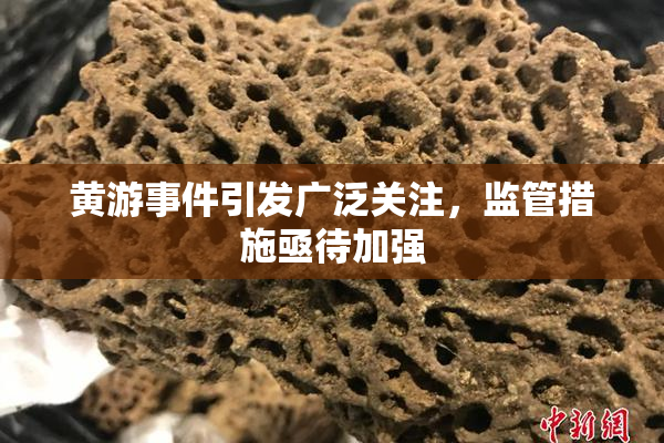 黄游事件引发广泛关注，监管措施亟待加强