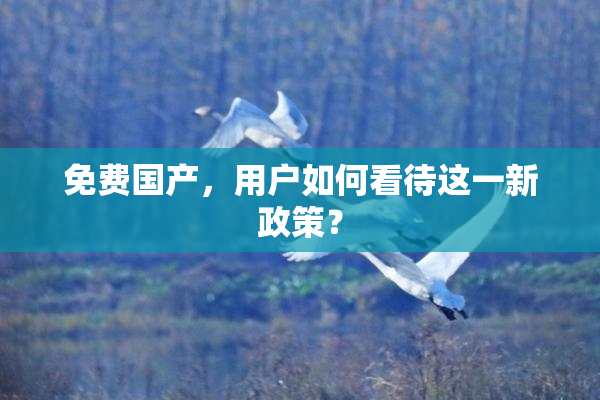 免费国产，用户如何看待这一新政策？