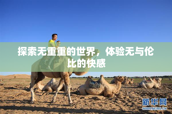 探索无重重的世界，体验无与伦比的快感