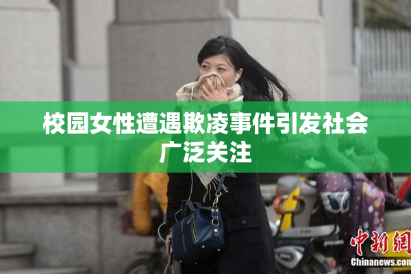 校园女性遭遇欺凌事件引发社会广泛关注