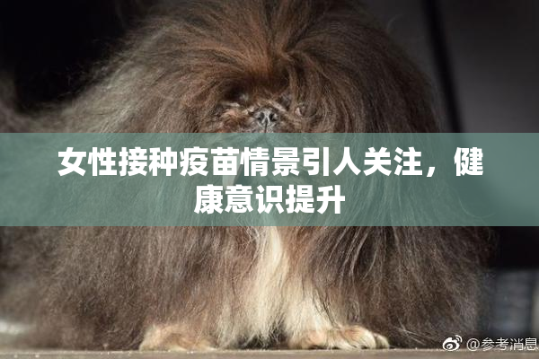女性接种疫苗情景引人关注，健康意识提升