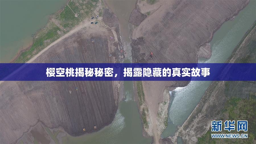 樱空桃揭秘秘密，揭露隐藏的真实故事