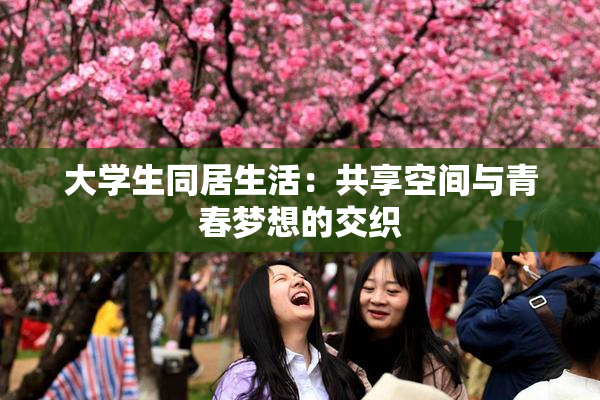 大学生同居生活：共享空间与青春梦想的交织