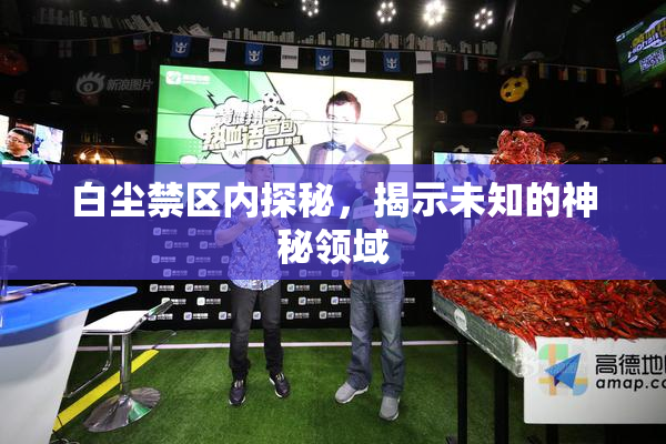白尘禁区内探秘，揭示未知的神秘领域