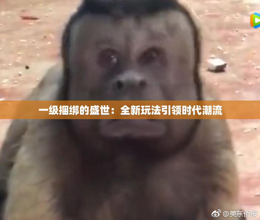 一级捆绑的盛世：全新玩法引领时代潮流
