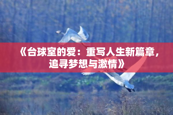 《台球室的爱：重写人生新篇章，追寻梦想与激情》