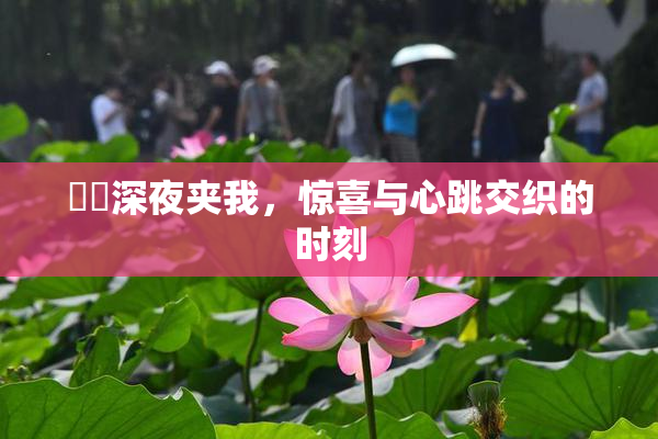 妺妺深夜夹我，惊喜与心跳交织的时刻