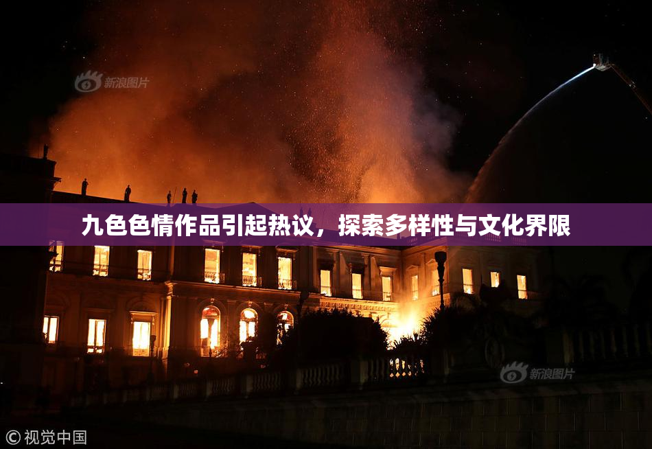 九色色情作品引起热议，探索多样性与文化界限