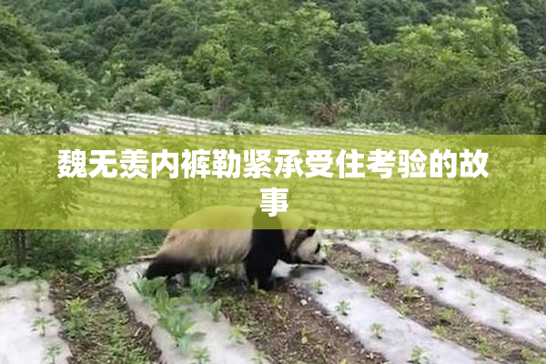 魏无羡内裤勒紧承受住考验的故事