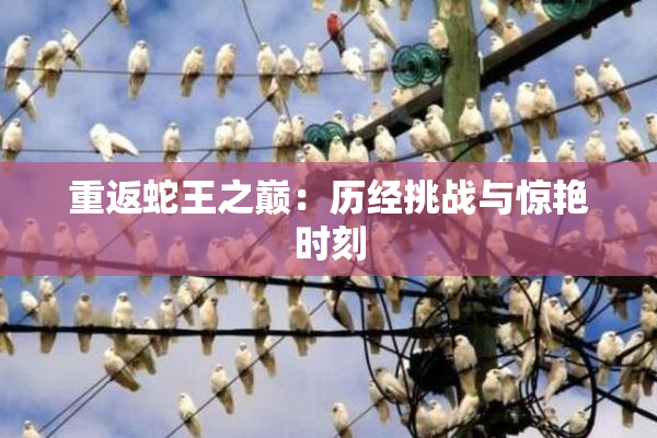 重返蛇王之巅：历经挑战与惊艳时刻