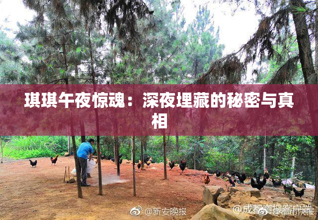 琪琪午夜惊魂：深夜埋藏的秘密与真相