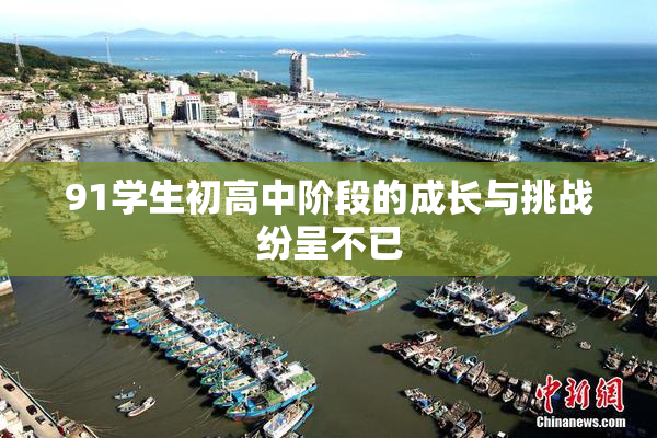 91学生初高中阶段的成长与挑战纷呈不已