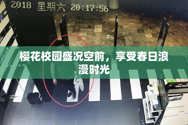 樱花校园盛况空前，享受春日浪漫时光