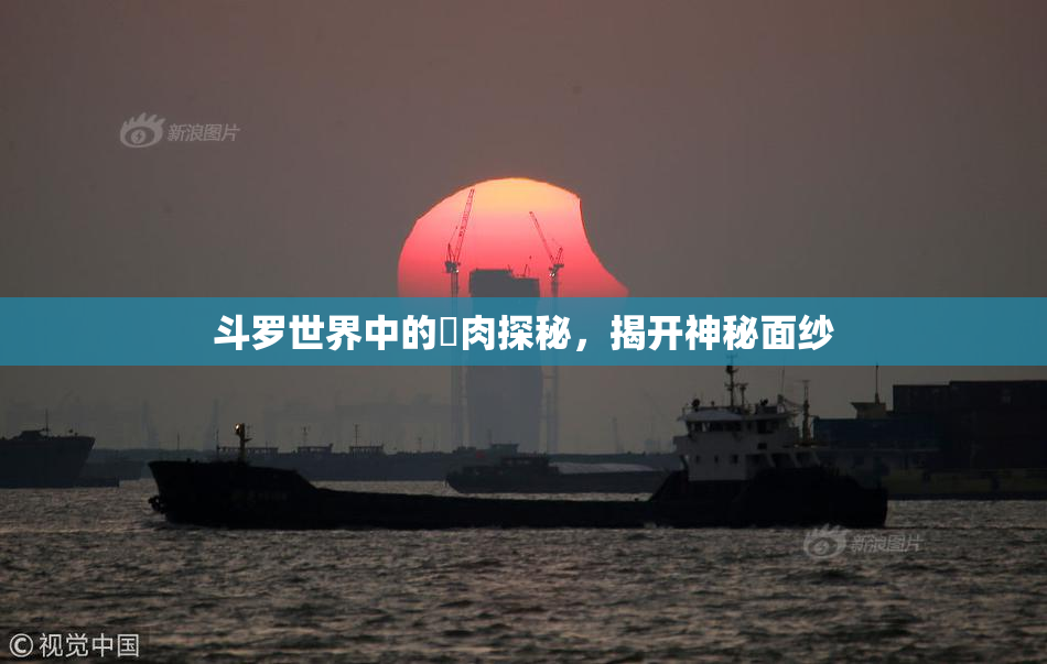 斗罗世界中的婬肉探秘，揭开神秘面纱