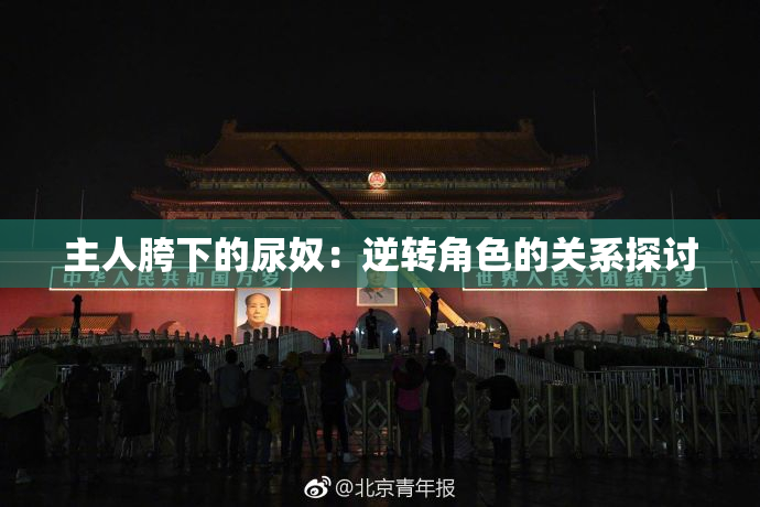 主人胯下的尿奴：逆转角色的关系探讨