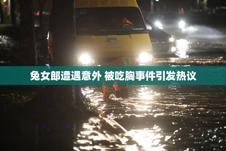 兔女郎遭遇意外 被吃胸事件引发热议
