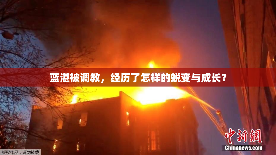 蓝湛被调教，经历了怎样的蜕变与成长？