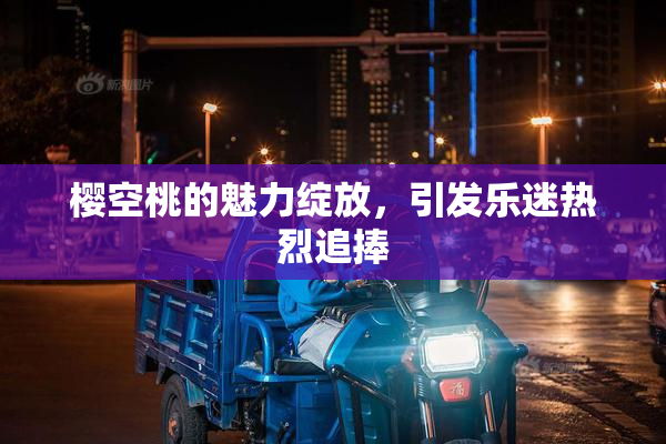 樱空桃的魅力绽放，引发乐迷热烈追捧
