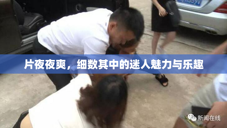 片夜夜爽，细数其中的迷人魅力与乐趣